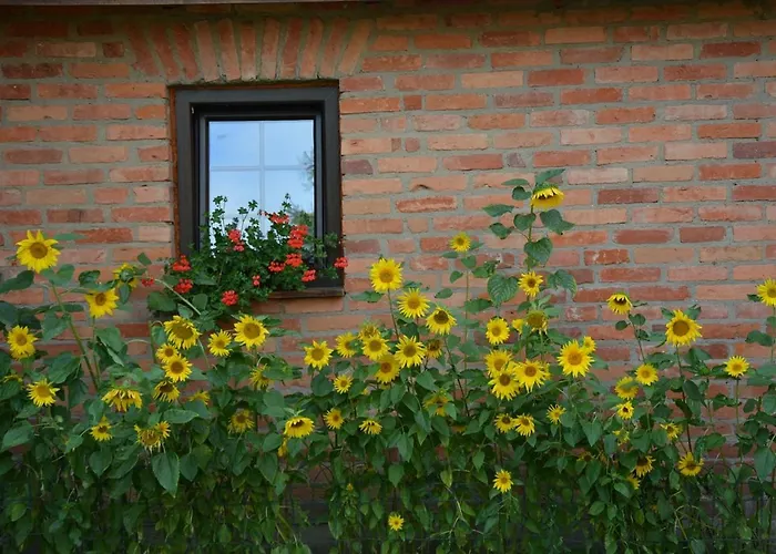 Agro Przy Kominku